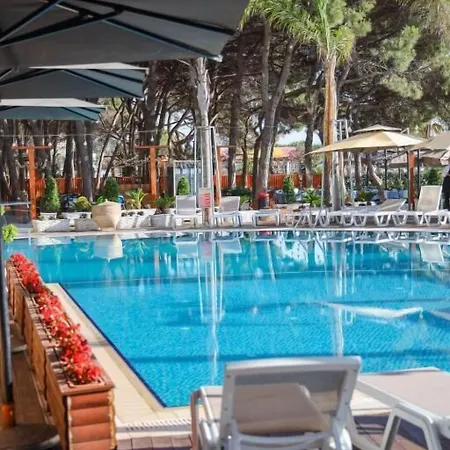 Vm & Hotel 5*